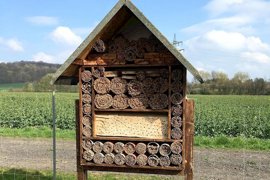 Bienenhotel Hof Mecke