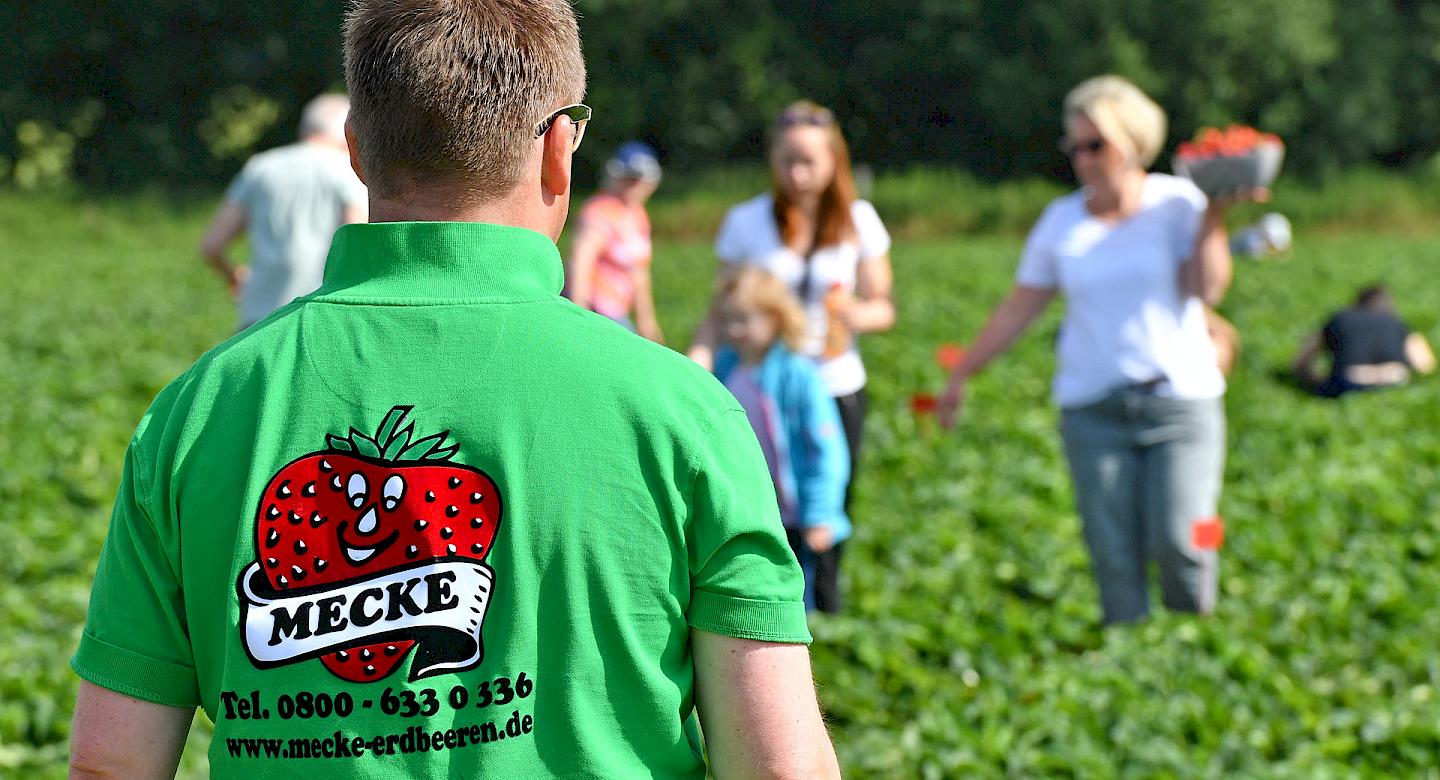 Mitarbeiter Meckes Hof Auf Erdbeerfeld