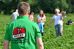 Mitarbeiter Meckes Hof Auf Erdbeerfeld