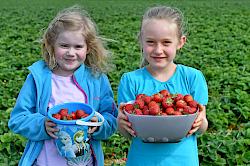 Kinder mit frisch geernteten Erdbeeren