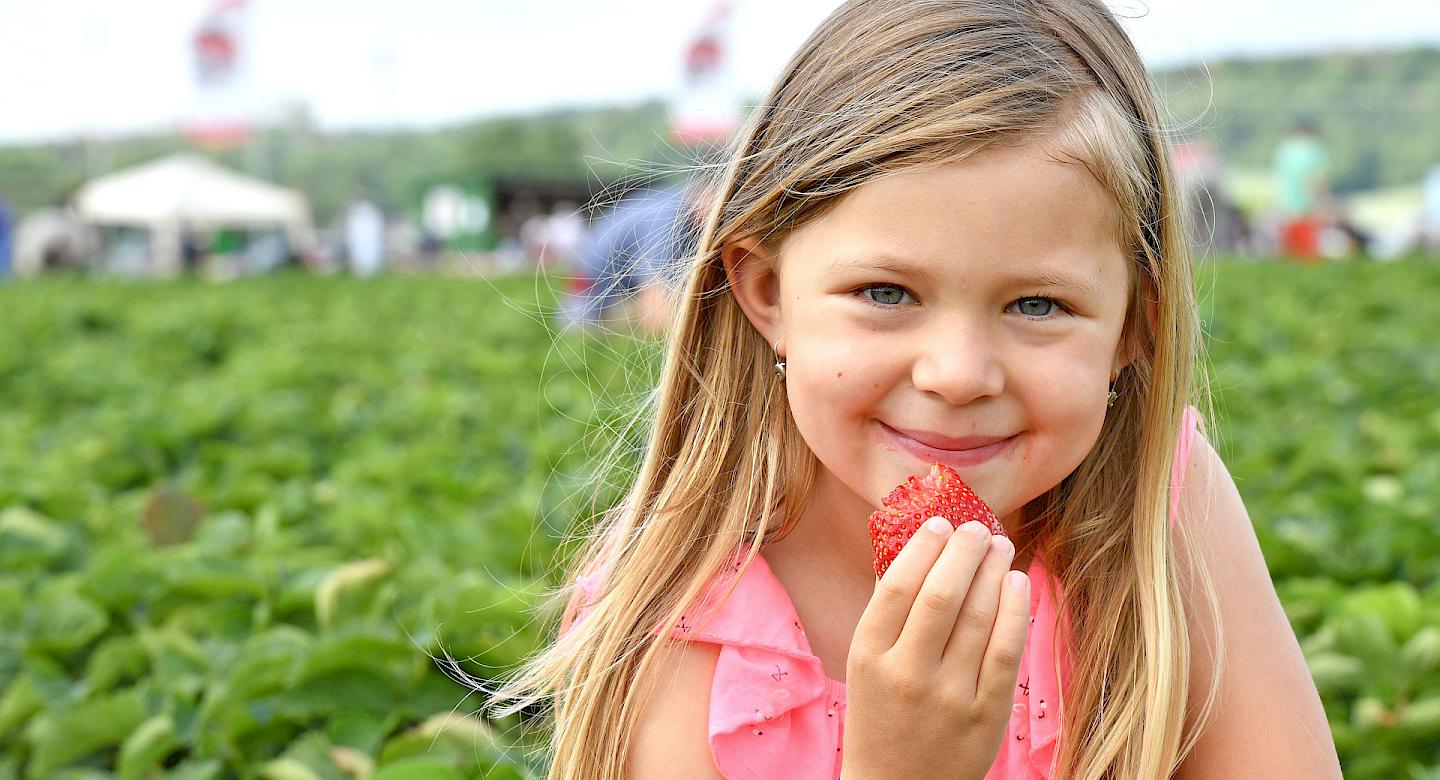 Kind isst Erdbeere auf Meckes Hof