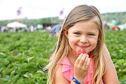 Kind isst Erdbeere auf Meckes Hof