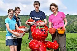 Familie auf Meckes Erdbeerfeld